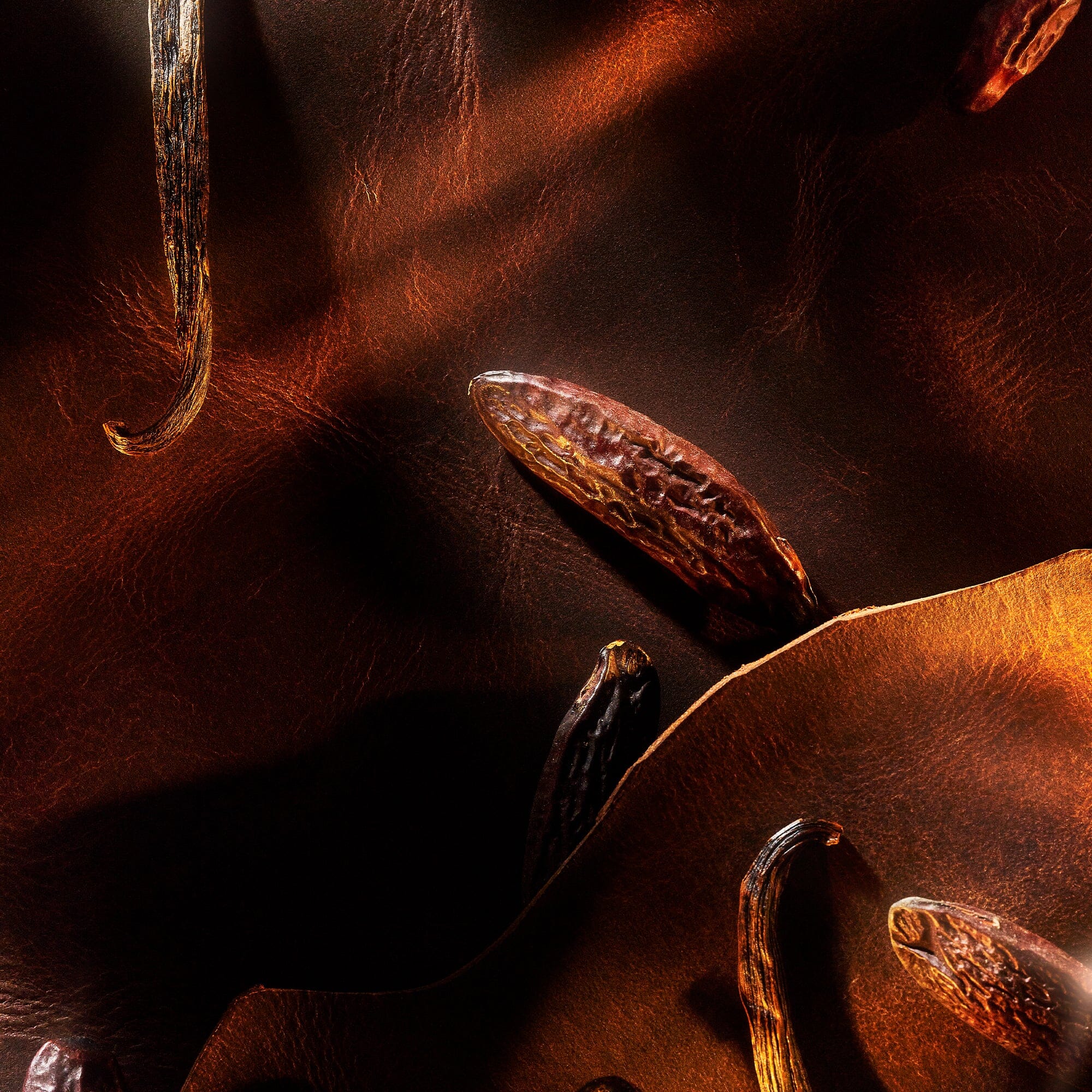 Parfum De La Nuit 1 - Image 2